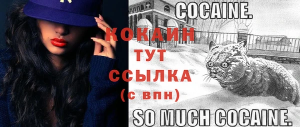 не бодяженный Арсеньев