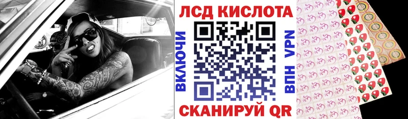 где можно купить KRAKEN Марки 25I-NBOMe 1,5мг Октябрьский