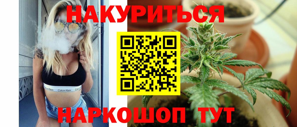 Канабис сатива Октябрьский